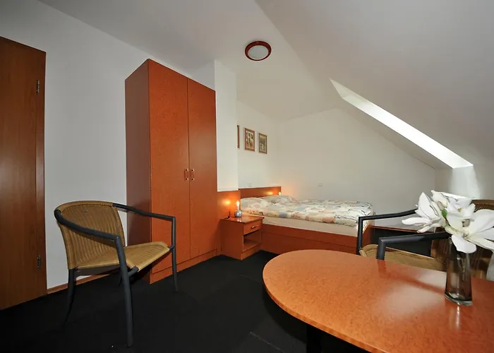 Praktik Krumlov 3* Přísečná