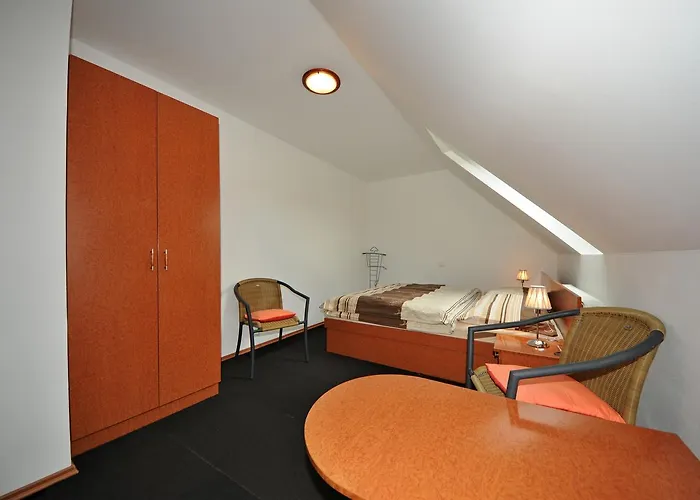Πανσιόν Praktik Krumlov 3*