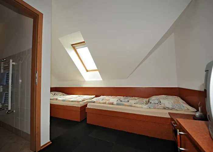 Πανσιόν Praktik Krumlov 3*